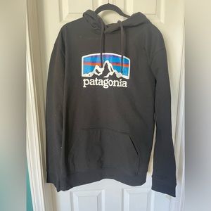 Patagonia Hoodie / Size XXL